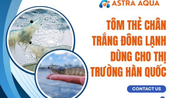 Tôm thẻ chân trắng đông lạnh dùng cho thị trường Hàn Quốc