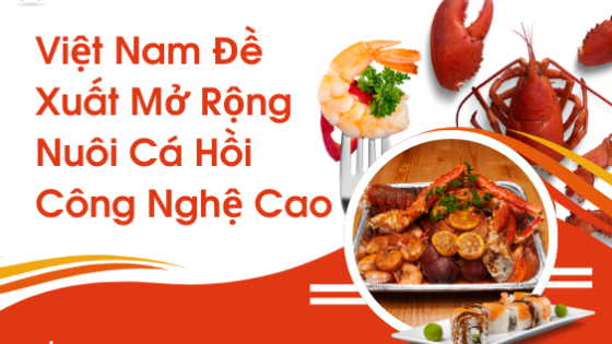 Việt Nam đề xuất mở rộng nuôi cá hồi công  nghệ cao