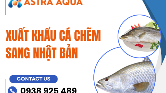 Xuất khẩu cá chẽm sang Nhật Bản