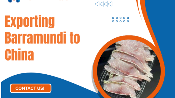 Xuất khẩu cá chẽm sang Trung Quốc