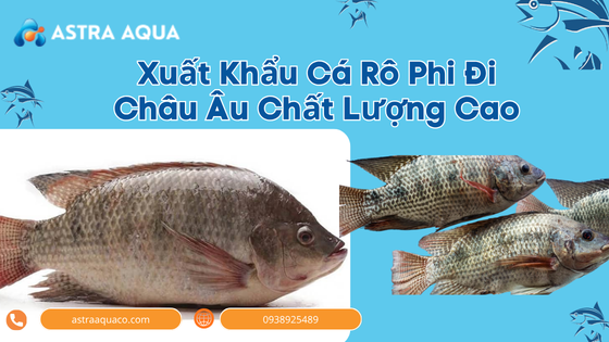 High-Quality Pangasius Export to Europe