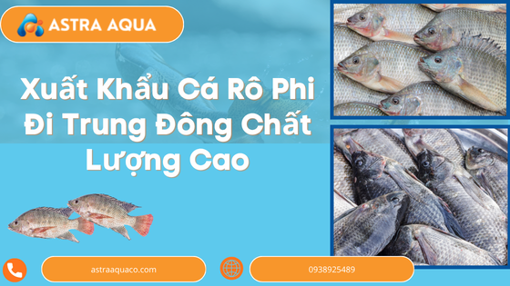 High-Quality Tilapia Exports to the Middle East
