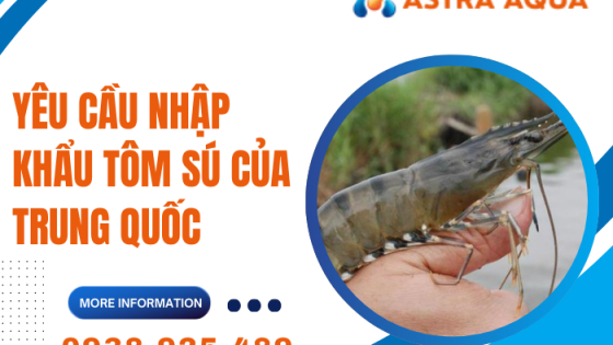 Yêu cầu nhập khẩu tôm sú của Trung Quốc